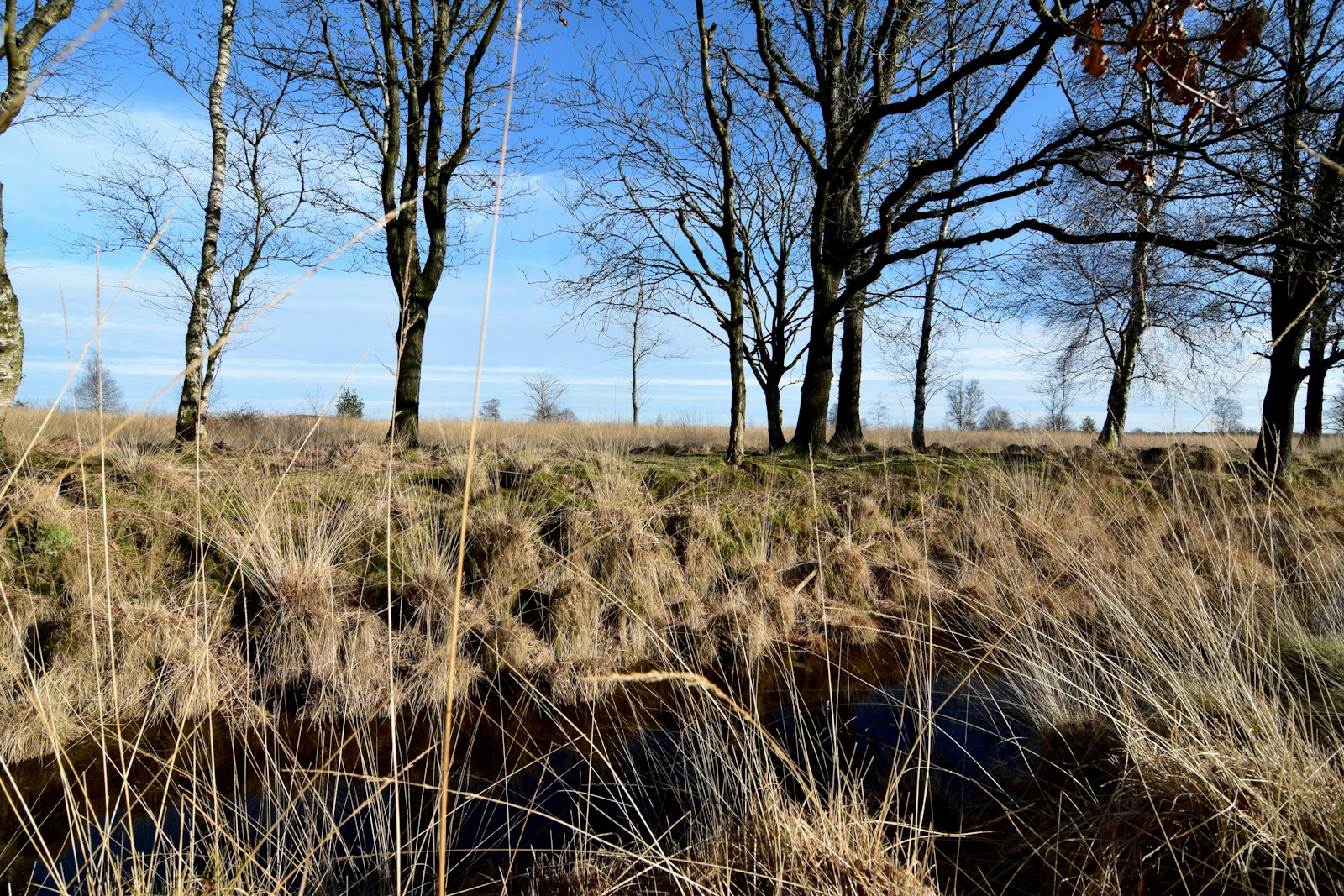 Vakantiehuisje drenthe particulier